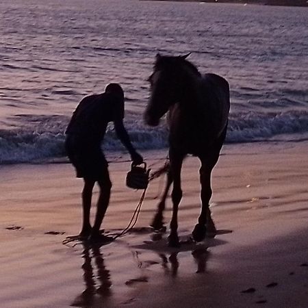 Paradisplage, 1 Minute De La Mer ซาลี ปอร์ตูดัล ภายนอก รูปภาพ