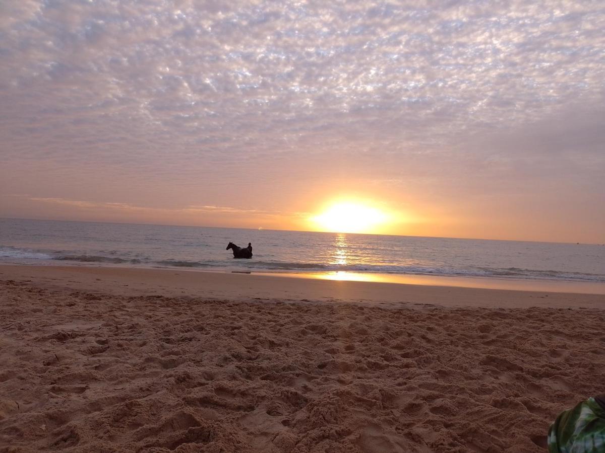 Paradisplage, 1 Minute De La Mer ซาลี ปอร์ตูดัล ภายนอก รูปภาพ