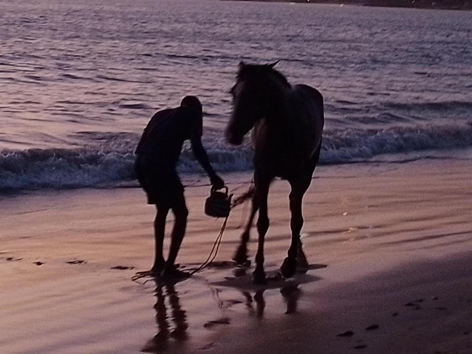 Paradisplage, 1 Minute De La Mer ซาลี ปอร์ตูดัล ภายนอก รูปภาพ